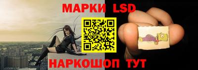 гашик Краснодар