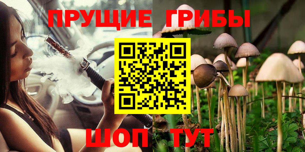 Ипатово  Псилоцибиновые грибы GOLDEN TEACHER  Псилоцибиновые грибы Cubensis  Вход с VPN 