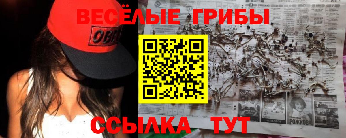 Галлюциногенные грибы прущие грибы Ипатово